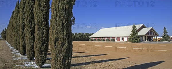 Ttraditional Mennonite dairy farm of Mennonites living in Cuauhtemoc