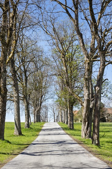 Small road