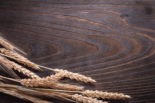 Copy space image of wheat rye ears on wooden vintage board food and drink concept