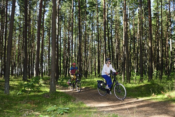 Cyclists on the Curonian Spit