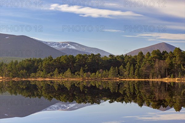 Loch Morlich and Cairngorm Mountains