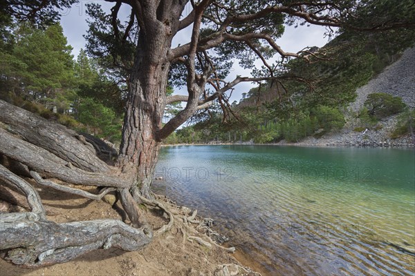 An Lochan Uaine