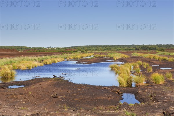 Peat extraction at Totes Moor