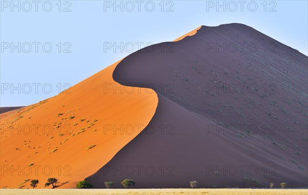Red sand dunes of the Sossusvlei