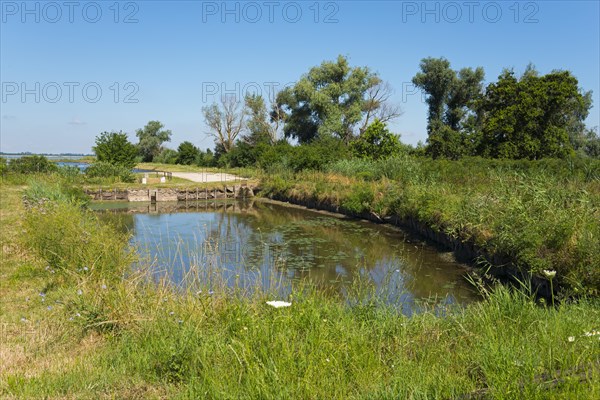 Hortobagy Fish Ponds