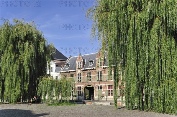 Weeping willows at the Lievekaai