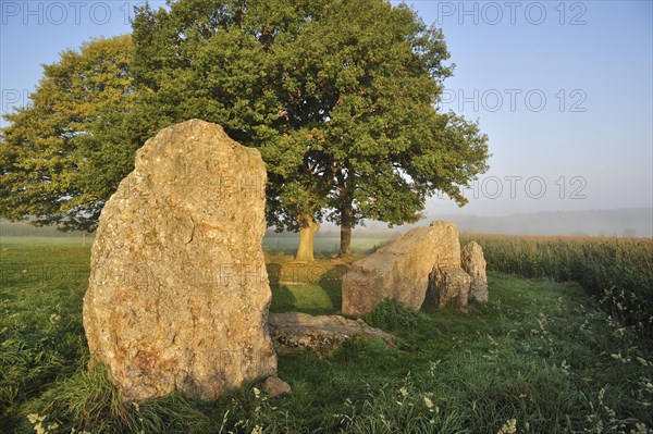 Standing stones at the Dolmen d'Oppagne