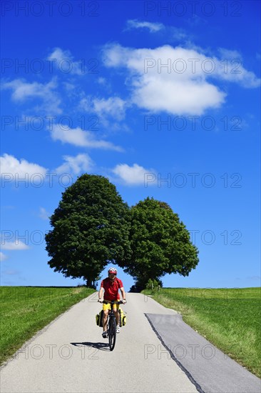 Cyclist on a picture-book country road near Berg