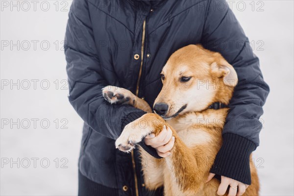 Homeless cute mongrel dog hugs with owner in dog shelter