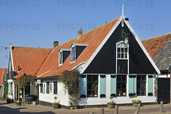 Traditional houses in the village Oosterend