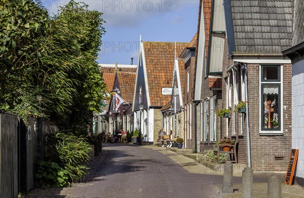 Lane in Oosterend