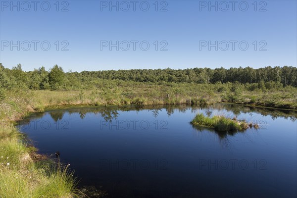 Lake in nature reserve Totes Moor