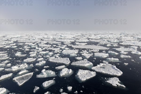 Drift ice