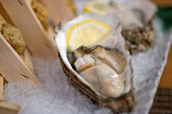 Japanese style oyster and sea urchin laid over crushed ice