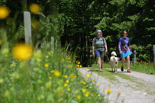 Herb hiking guide