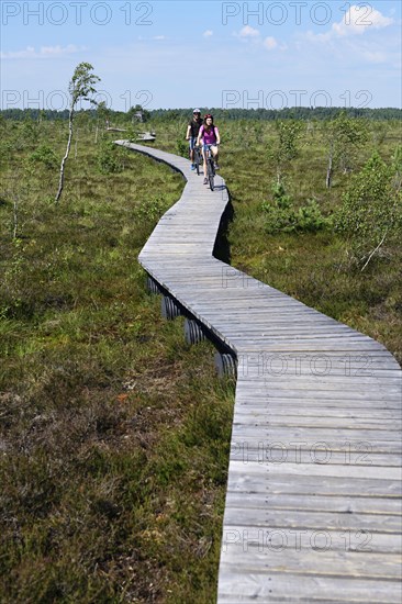 Cyclists on the Aukstumala Cognitive Path