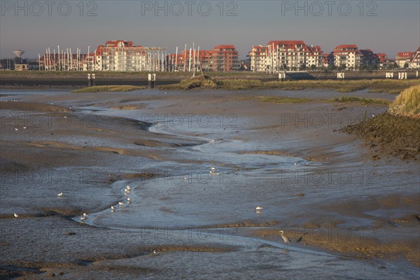 Salt marsh and mudflats at the nature reserve De IJzermonding at Nieuwpoort