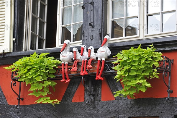 Storks on colorful facade of timber framed house at Colmar