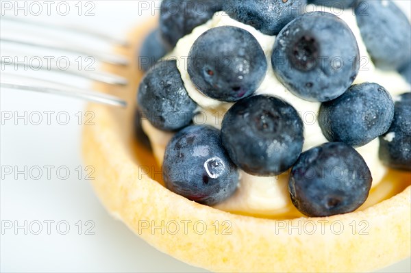 Fresh blueberry cream cupcake homemade closeup macro