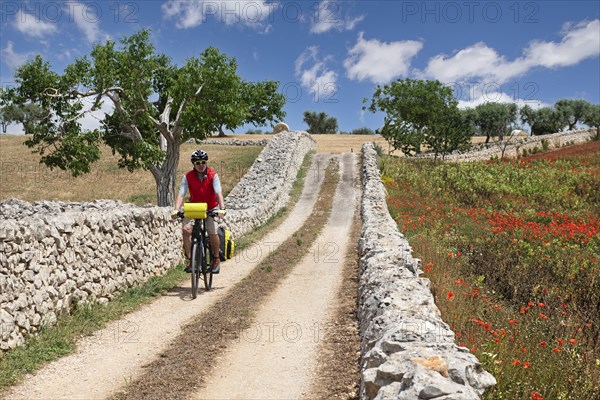 Cyclist on a side road between Noci and Alberobello
