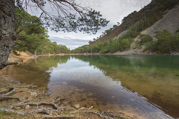 An Lochan Uaine