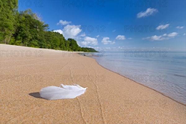 White bird feather on tranquil sandy beach of Knaebaeckshusen
