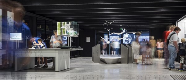 Exhibition in the visitors centre