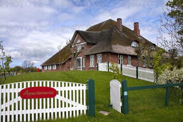 Traditional North-frisian farmhouse with thatched roof at Eiderstedt Peninsula