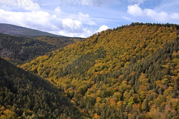 View from the Ilsestein