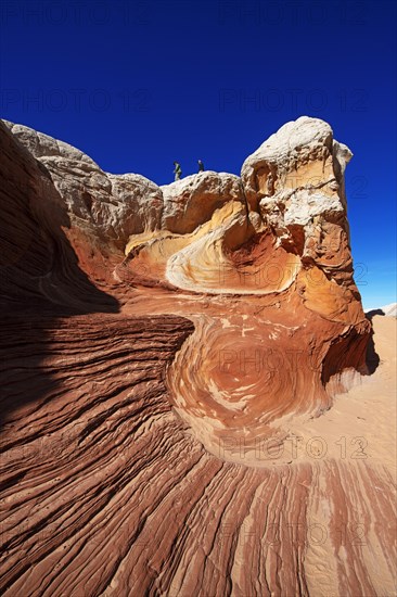 Hiker in White Pocket Canyon