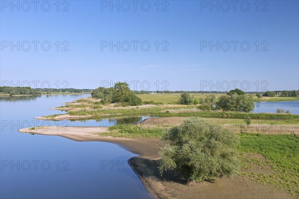 Biosphere Reserve Biosphaerenreservat Flusslandschaft Elbe