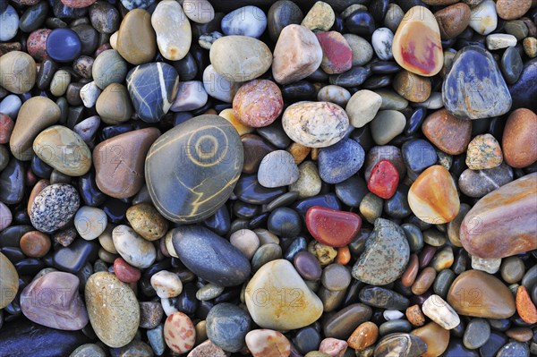 Colourful water smoothed pebbles in surf at shingle beach