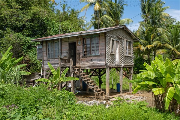 Traditional wooden house on stilts in rural Guyana