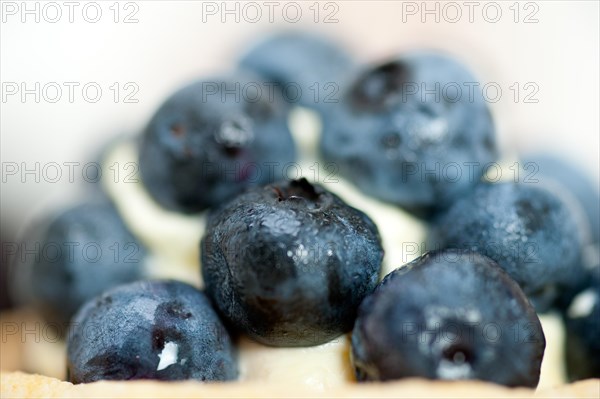 Fresh blueberry cream cupcake homemade closeup macro