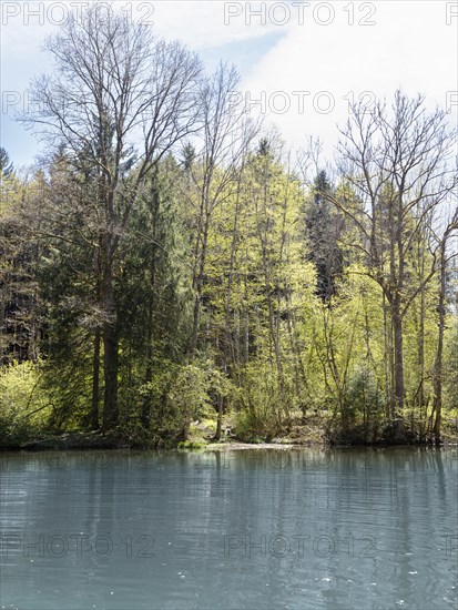Pond