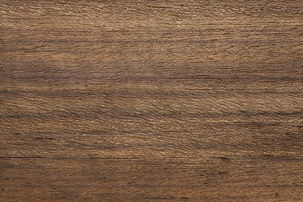 Wood grain of Hyedua