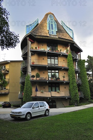 L'Arbre Habite