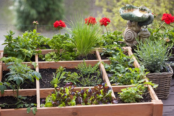 Square foot gardening by planting flowers