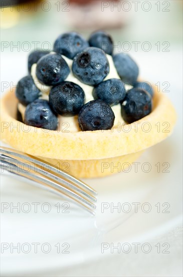 Fresh blueberry cream cupcake homemade closeup macro