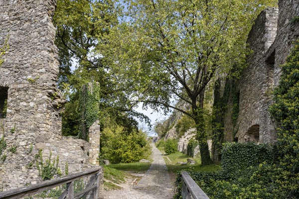 The Hohentwiel fortress ruins