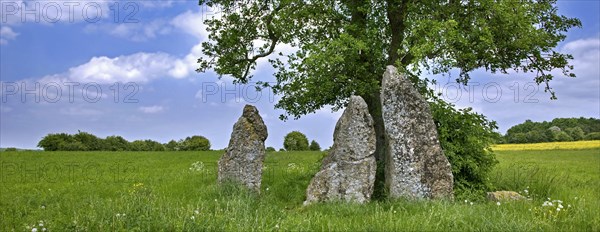 The 3 standing stones