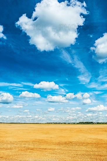 Beautiful wheat field and cloudy sky view from the height