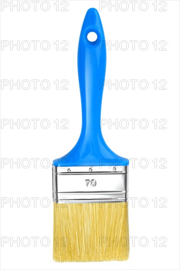 Blue brush