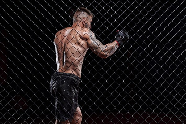 Dramatic image of a mixed martial arts fighter standing in an octagon cage. The concept of sports