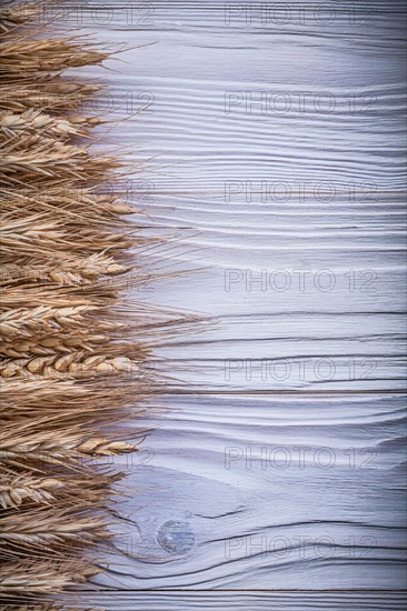 Stack of wheat rye ears on wooden board copy space food and drink concept