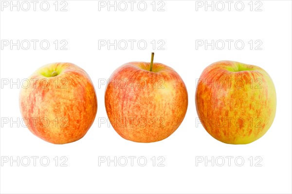 Apples