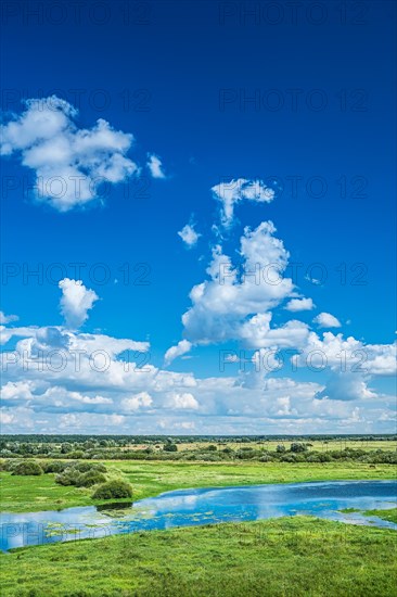 Flooded field in spring