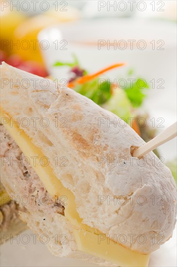 Tuna fish and cheese sandwich with fresh mixed salad