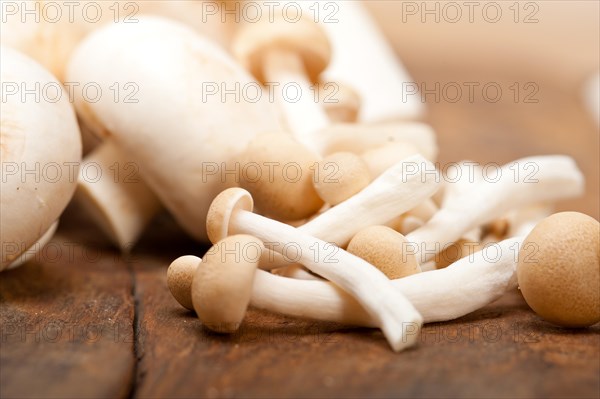 Bunch of fresh wild mushrooms on a rustic wood table