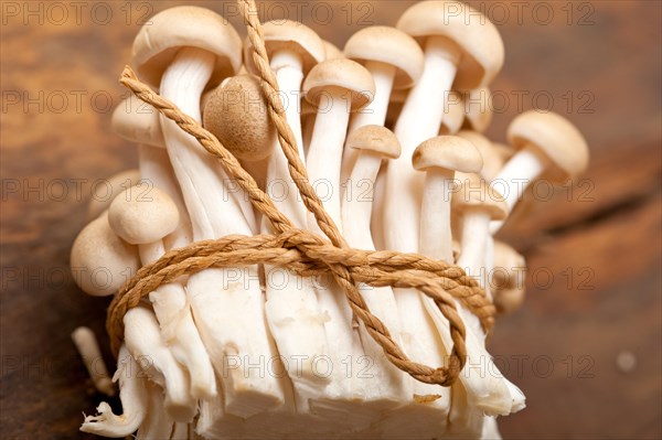 Bunch of fresh wild mushrooms on a rustic wood table tied with a rope